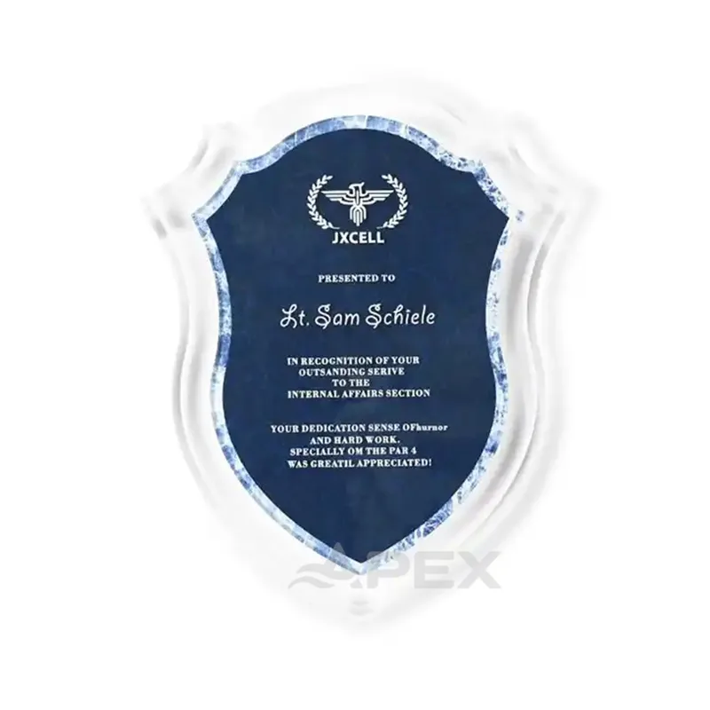 Shield Acrylic Trophy Awards Custom Wall Mounted - APEX