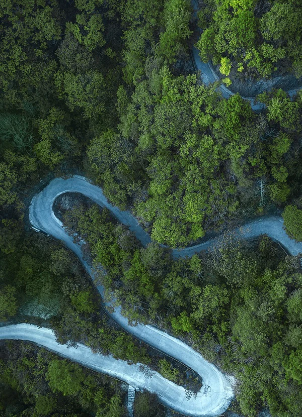 Sustainability - Golden Brand
