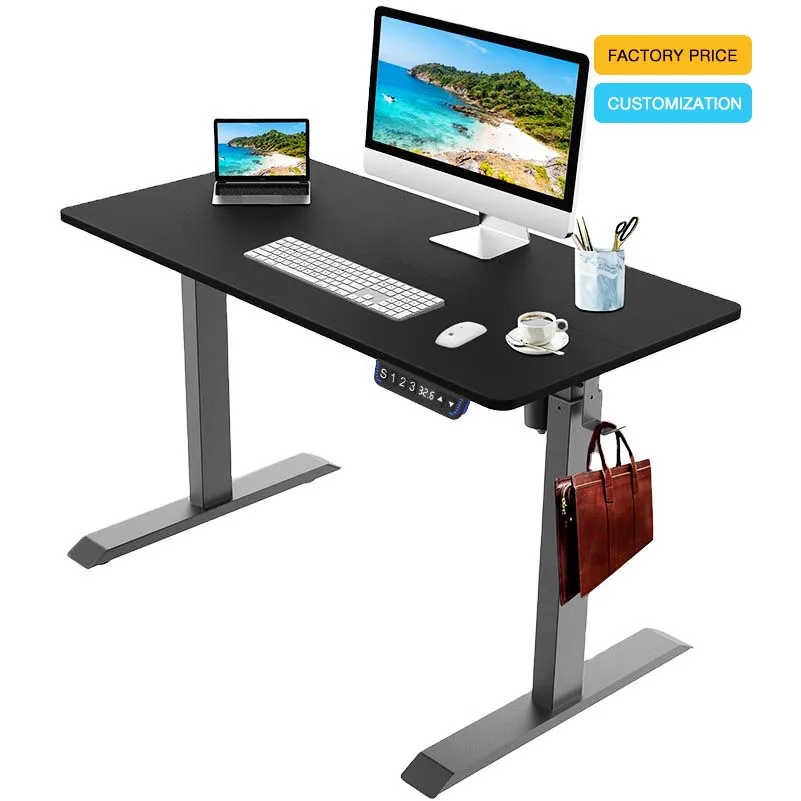 Standing Desk  with Hand Control S1