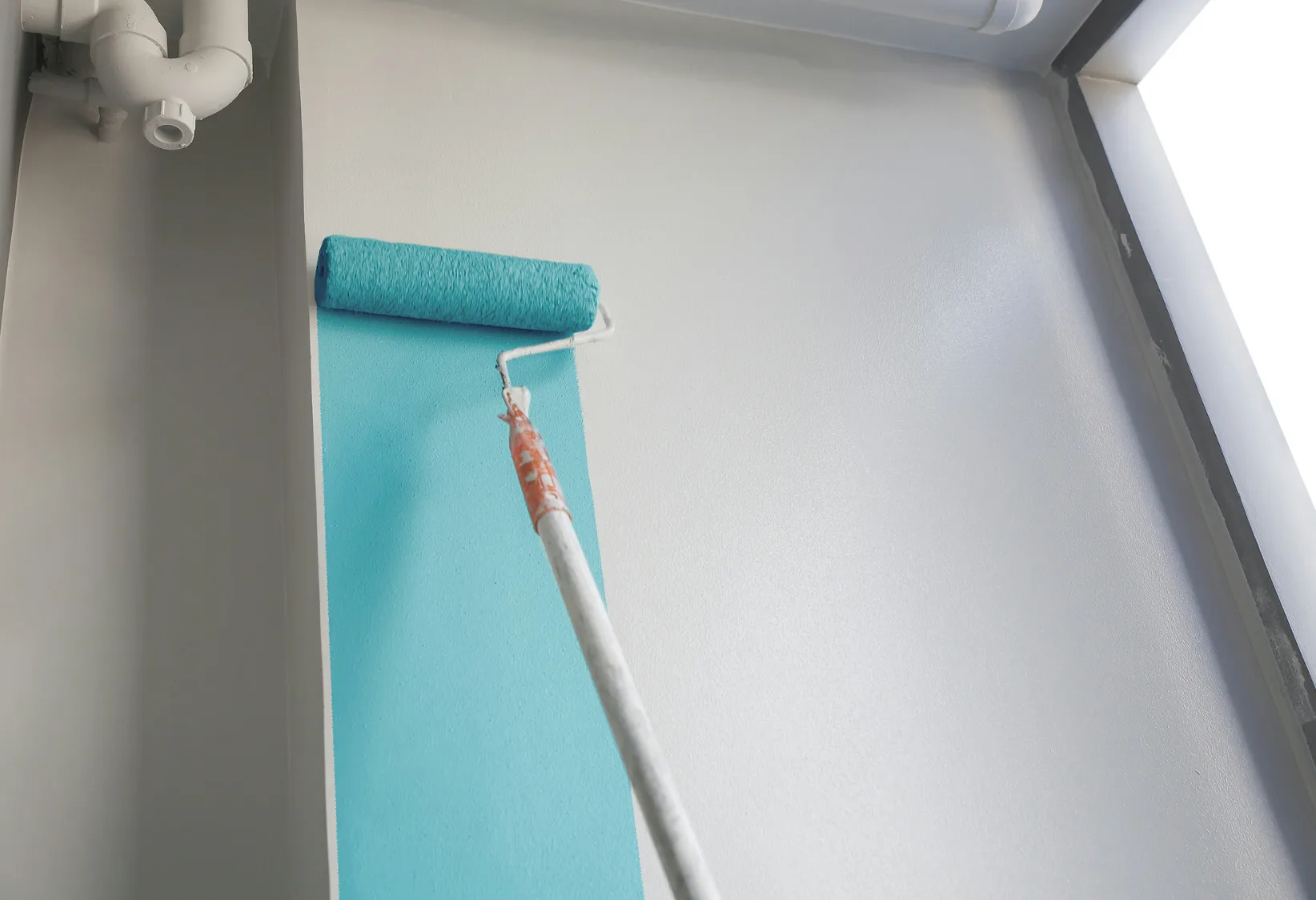 thickener with strong bio-stability for paints
