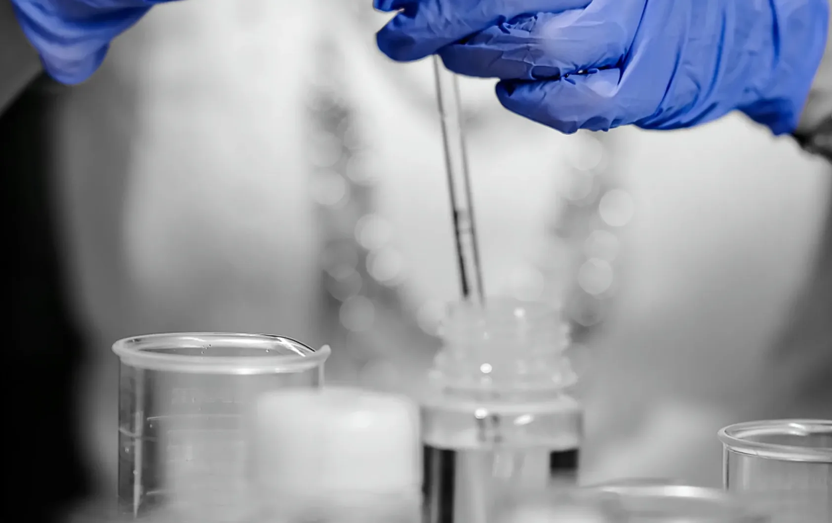 默认标题__2024-11-04+10_07_30