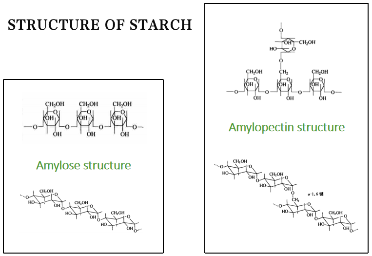 Unlocking the Potential of Pregelatinized Starch - Celotech