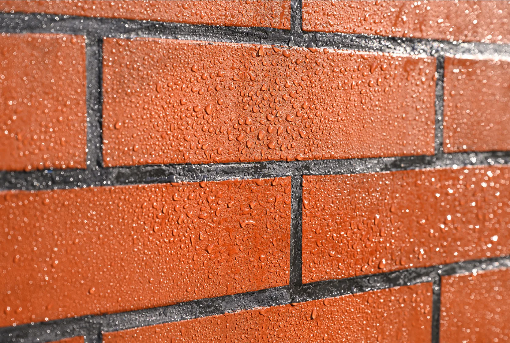 默认标题__2025-04-28+13_22_46