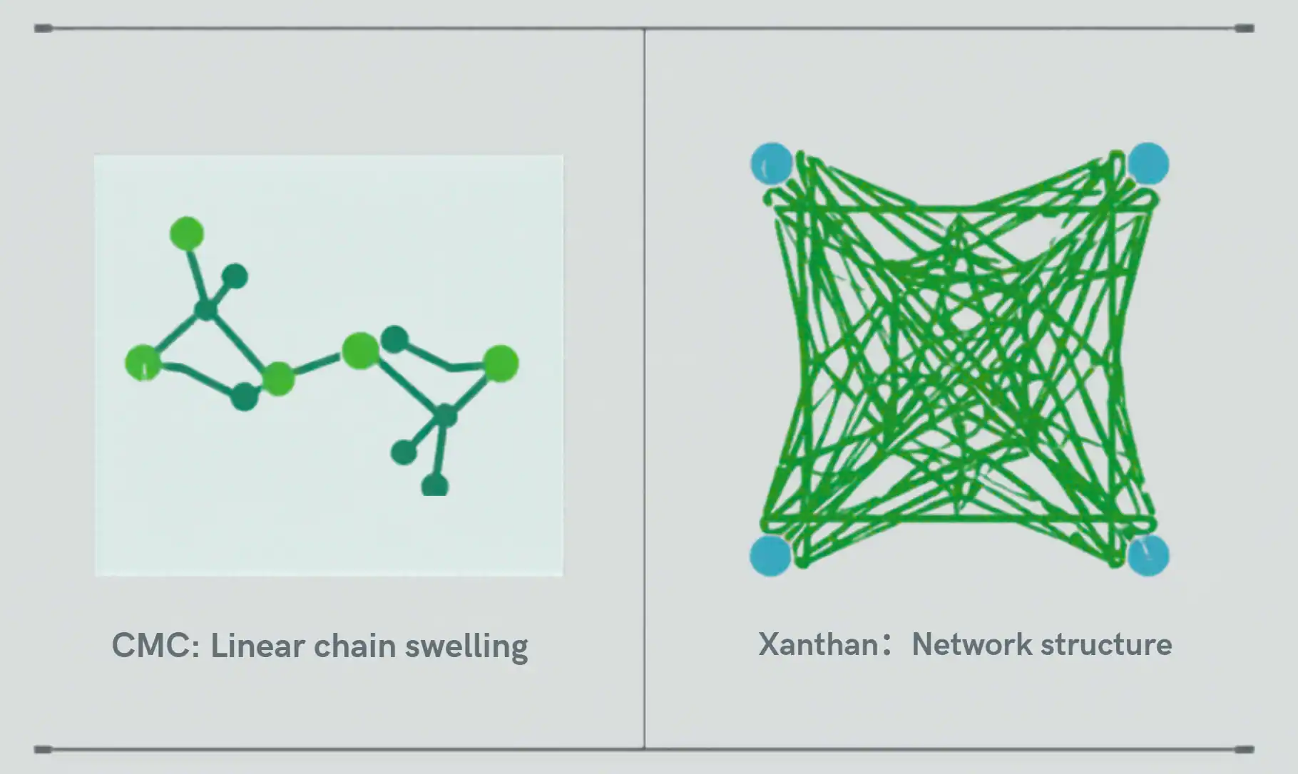 Estructura de Xanthan VS CMC