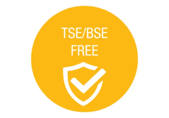 BSE TSE Requirement