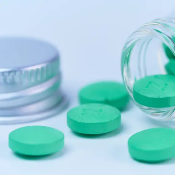 Hydrophilic Matrix Systems